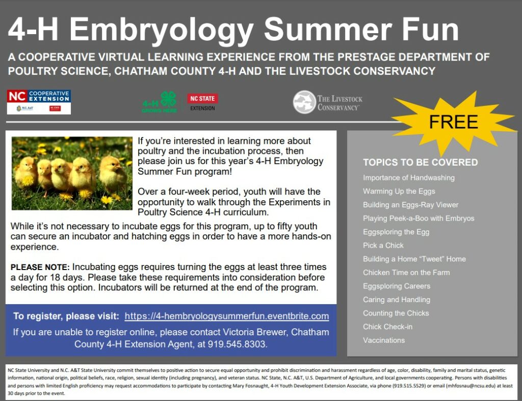 4-H flyer for summer embryology program