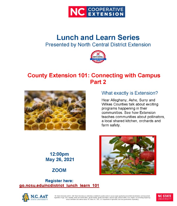 County 101 Lunch and Learn Flyer